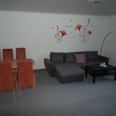 Hohegeiß Ferienwohnung Schone Auszeit المظهر الخارجي الصورة