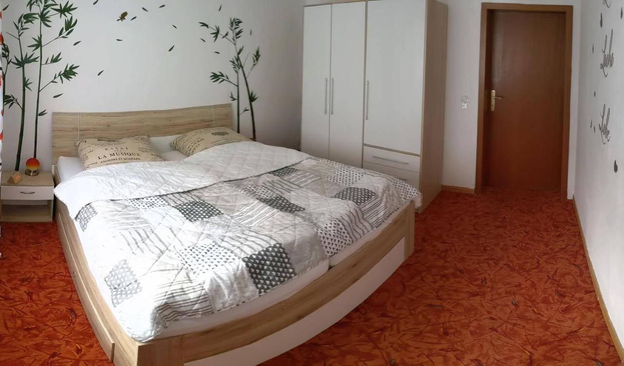Hohegeiß Ferienwohnung Schone Auszeit المظهر الخارجي الصورة